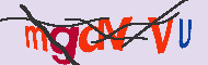 Captcha認証コード